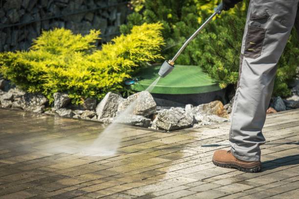 Best Gutter Cleaning  in Westminster, TX